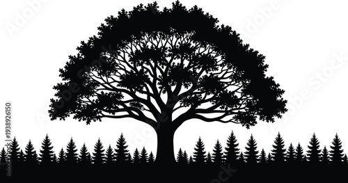 Vector black silhouette of a massive oak tree with spreading branches towering over a dense pine and spruce forest landscape,