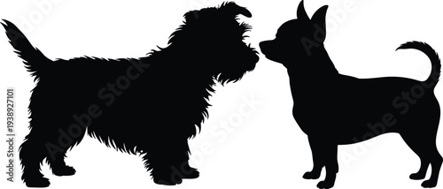 Silhouette of two small dogs meeting and sniffing noses isolated on white background, pet friendship and canine animal behavior illustration.