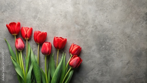 A vibrant bouquet of crimson tulips arranged artfully on a textured gray surface, creating a striking contrast and a visually appealing composition.