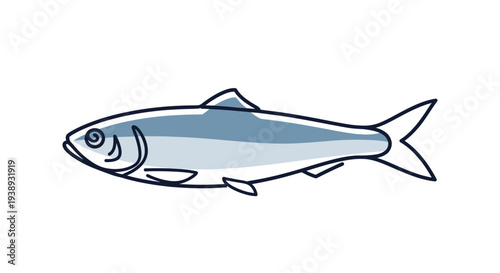 Illustration of a single herring fish, isolated on white background