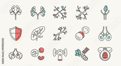 Immunology and Biology Icons A Visual Representation of Cells, Organs, and Immune Systems