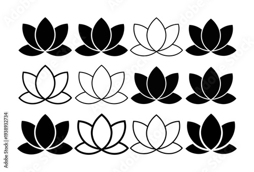 Collection of Black and White Lotus Flower