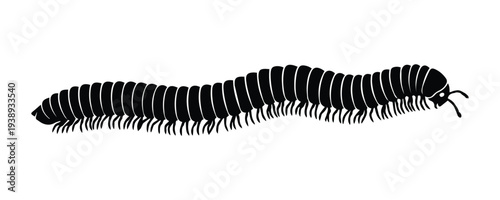 A segmented millipede crawling forward Icon Silhouette vector black design on a white background