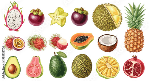 Exotic Tropical Fruits Assortment Healthy Eating Organic Food Collection Natural Vitamins And Nutrients
