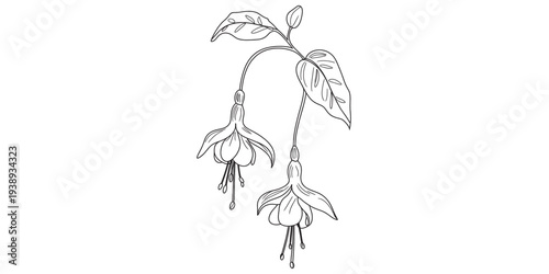 Detailed illustration of a blooming flower branch with leaves