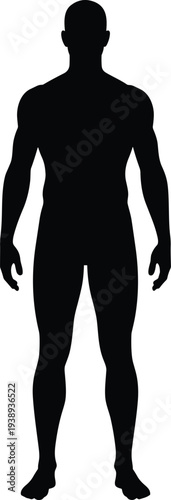 Human silhouette, muscular build, anatomical figure, fitness icon, body outline, standing posture, medical design, health concept, neutral form, anatomy illustration