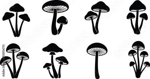 Mushroom silhouette vector set, wild forest fungi collection isolated on white background, botanical mushroom icons for nature, food, organic illustration design