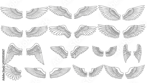 Collection of diverse wing sketches in various positions and styles including angel, bird, and eagle wings on a white background.