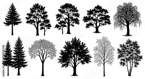 Collection of diverse tree silhouettes in black