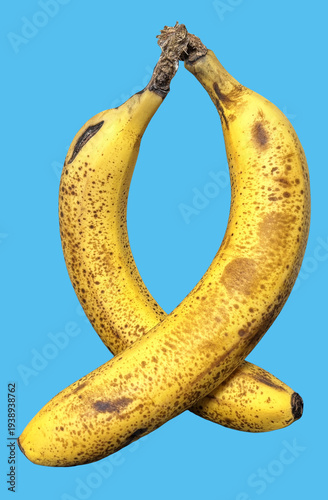 Wallpaper Mural バナナ_banana Torontodigital.ca