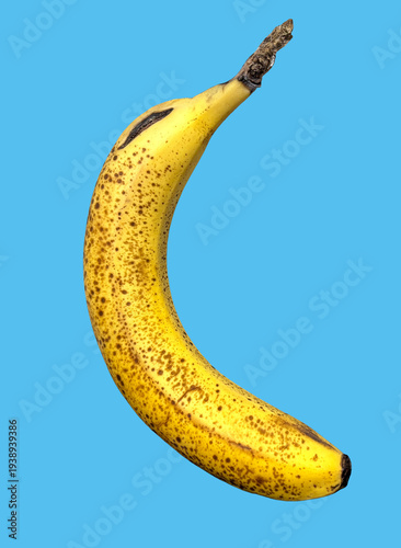 Wallpaper Mural バナナ_banana Torontodigital.ca