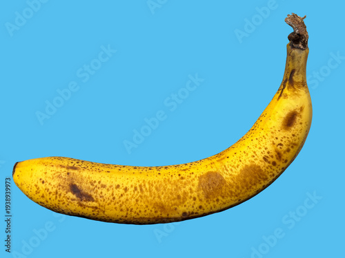 Wallpaper Mural バナナ_banana Torontodigital.ca