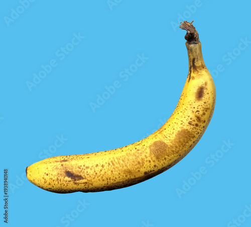 Wallpaper Mural バナナ_banana Torontodigital.ca