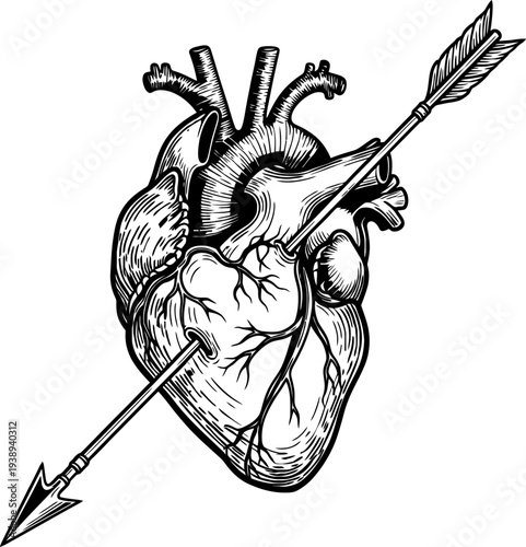 A heart pierced by an arrow Vector