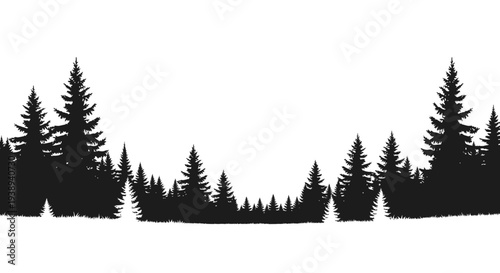 Black Silhouette of Evergreen Forest Against White Background