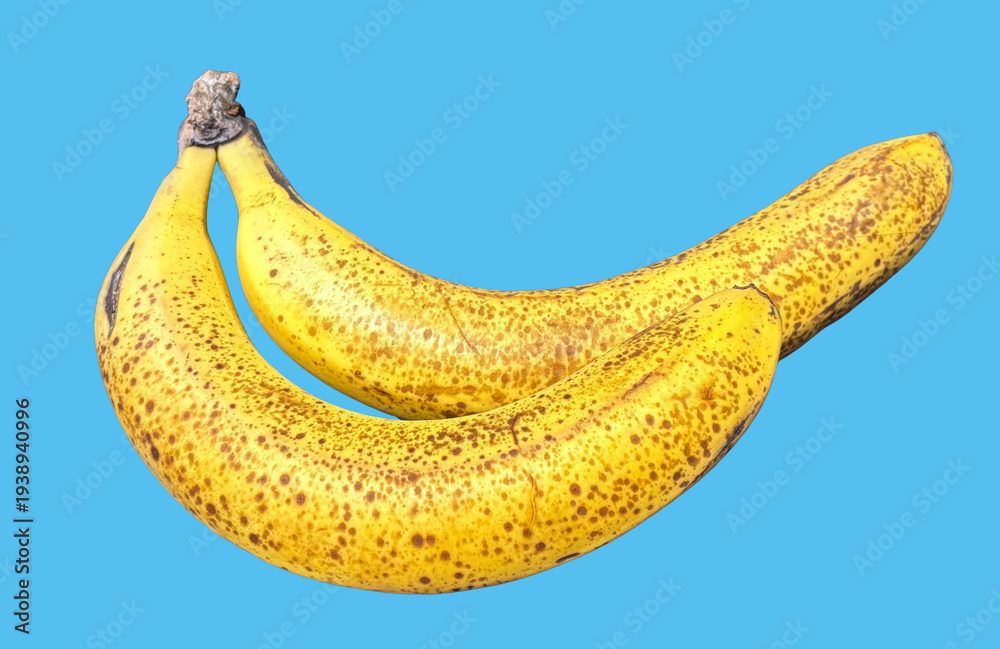 custom made wallpaper toronto digitalバナナ_banana