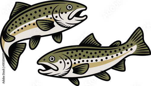 Rainbow trout fish illustration pair with detailed freshwater fish design, aquatic wildlife element isolated for fishing graphics, seafood menu, nature illustration, and outdoor sport branding