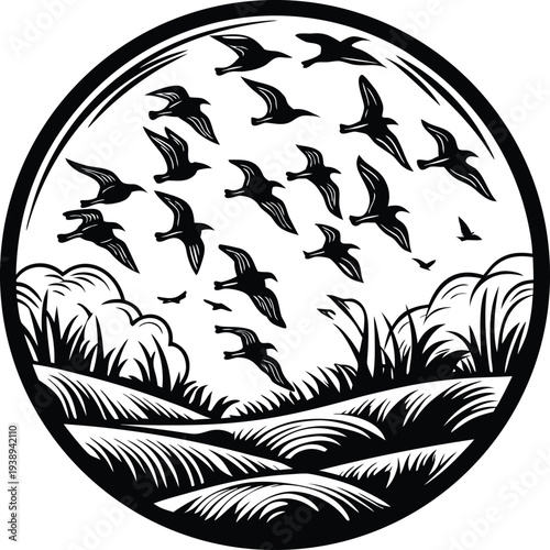 Flock of Birds Flying Over Fields at Sunset Silhouette