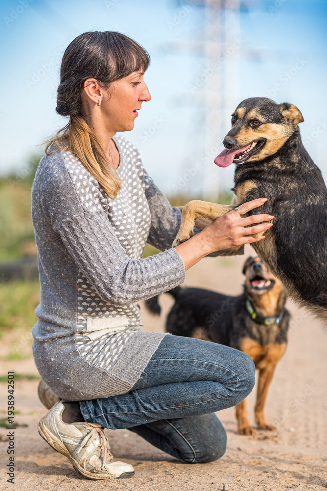 Obraz premium Woman kneeling on a dirt path interacts with a small black dog, surrounded by greenery and power lines under a clear blue sky