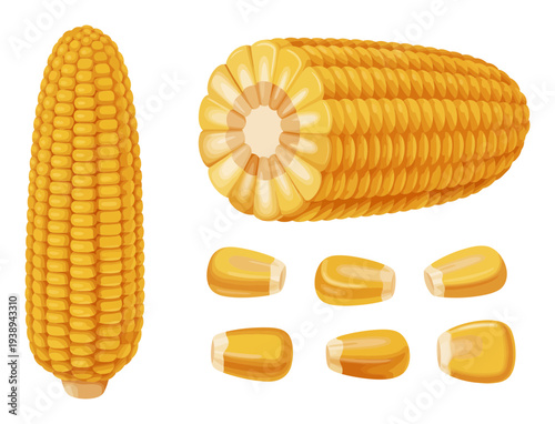 A Collection of Yellow Corn Kernels and Cobs on a White Background