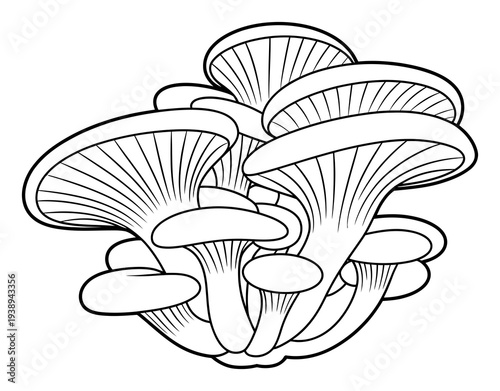 Black and White Outline of a Cluster of Oyster Mushrooms