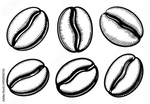 Six Hand-Drawn Coffee Beans in Black and White