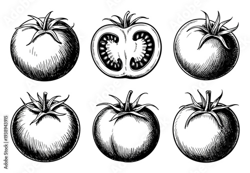 Vintage of Tomatoes: Whole and Halved, Black and White