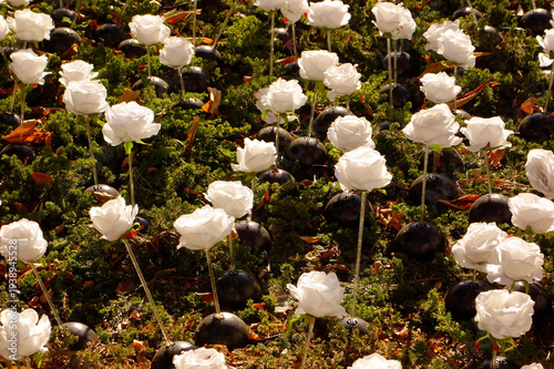 羅列模様の茂みに咲く人工的な怪しげな白い花