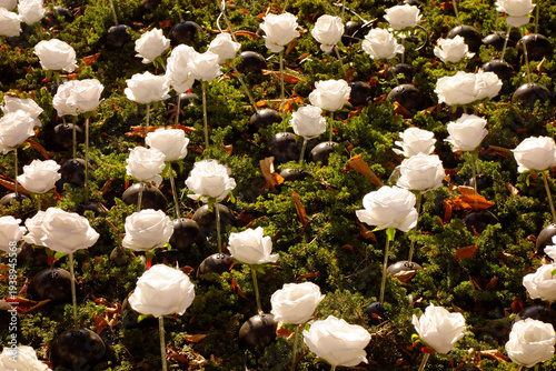 羅列模様の茂みに咲く人工的な怪しげな白い花