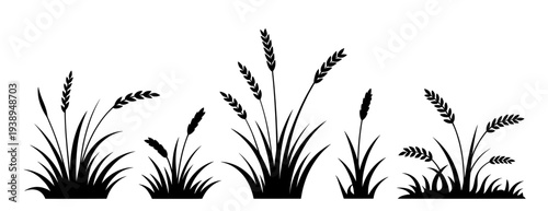 Set of 4 grass silhouettes vector illustrations for design elements isolated PNG with Transparent Background