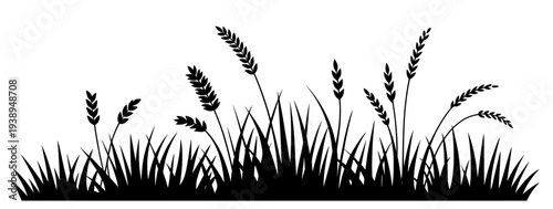 Set of 7 wheat and grass silhouettes vector illustration isolated PNG with Transparent Background