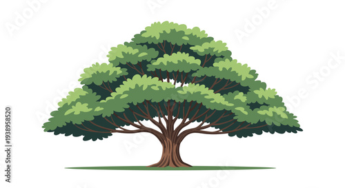 Magnificent wide spreading green tree with a thick brown trunk and dense foliage providing shade and beauty in a natural landscape setting.