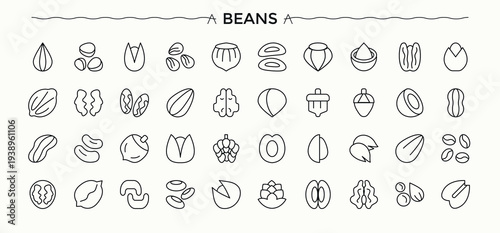 Beans icon set. Seed icon set. Contains outline symbols like healthy food, protein, food, nuts, seed and more. Art and illustration.