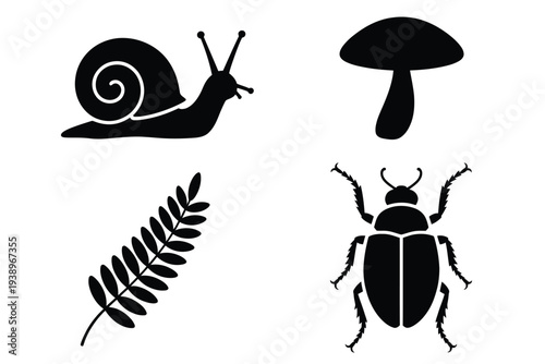 Four black silhouettes of snail, mushroom, fern, and beetle