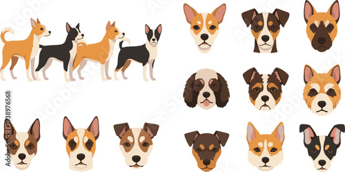 Collection of various dog breeds and their heads isolated on white background