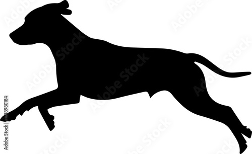 Running Dog Silhouette Vector