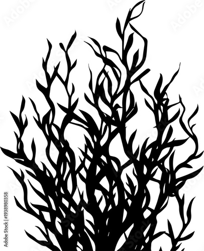 Seaweed Silhouette Vector – Underwater Marine Plant Illustration