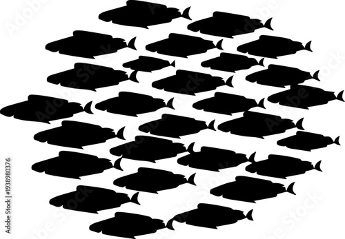 School of Fish Silhouette Vector – Marine Fish Group Illustration