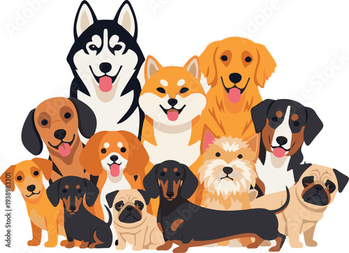 A group of various dog breeds isolated on white background together