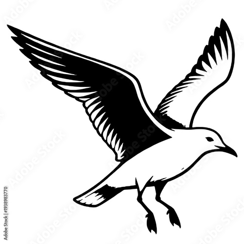 Silhouette of a flying seagull