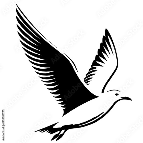 Silhouette of a flying seagull