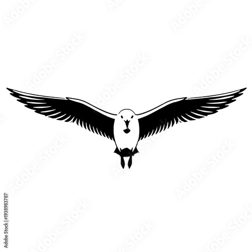 Silhouette of a flying seagull