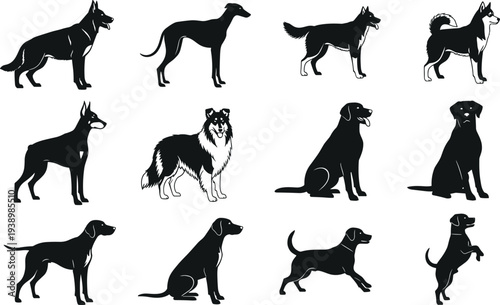 Various dog breed silhouettes set, different canine positions including sitting and standing, isolated pet vector bundle for veterinary logo, minimalist animal art. (23 words)