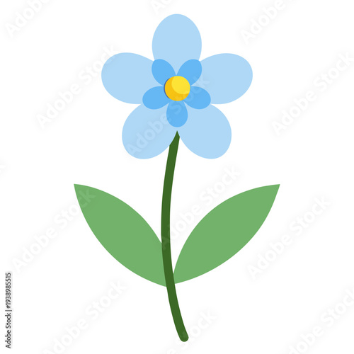 Blue forget-me-not flower isolated on white background spring nature