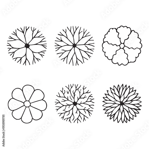 CAD Trees Top View Set – Landscape Design and Architectural Elements