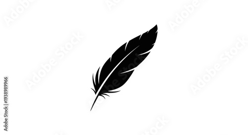 Black Feather Silhouette Isolated on White.