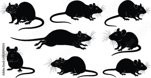 Rat silhouette illustration, rodent animal icons, pest control design, black and white artwork, whiskers, ears, long tail, wildlife symbol, rodents