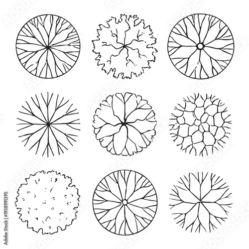 CAD Trees Top View Set – Landscape Design and Architectural Elements