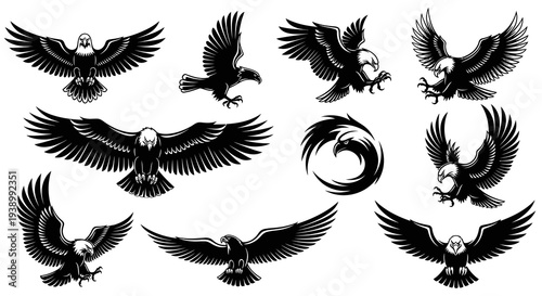 Bald Eagle Vector Graphic Set for Sports, Military, and Patriotic Logos Black and White