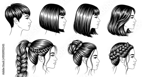 Beauty  Fashion: Diverse Female Hairstyles Black  White Line Art Vector Illustration